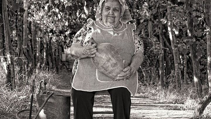 Private Vesuvius Vineyard Walk and Wine Lunch, NWT Sommelier, Transfer from Naples (1/12)