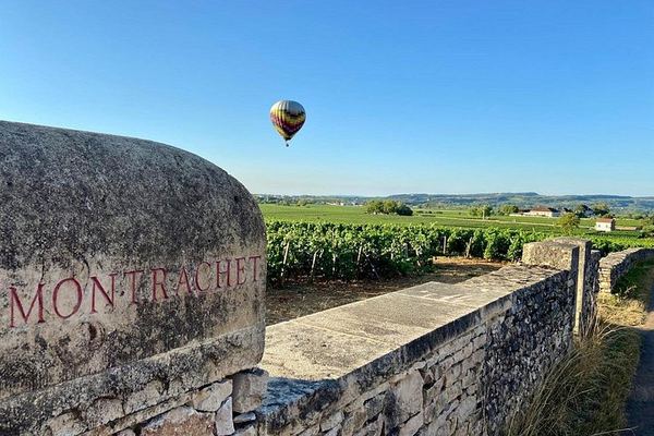 Private Burgundy Wine Tour with Bilingual Host, Tailored to Your Wine Profile