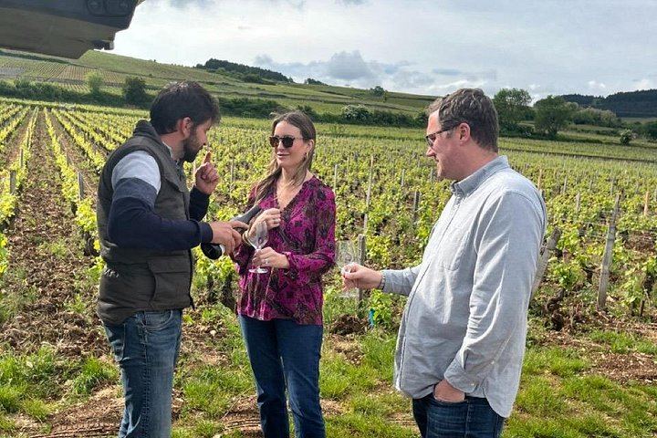 Private Burgundy Wine Tour with Bilingual Host, Tailored to Your Wine Profile (9/12)