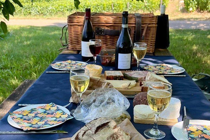 Private Burgundy Wine Tour with Bilingual Host, Tailored to Your Wine Profile (8/12)