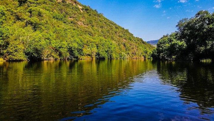 Private Full-Day Douro Valley Tour, Two Small Wineries, Old Ports and Family Lunch (1/2)