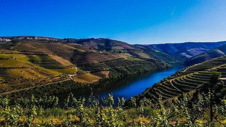 Private Full-Day Douro Valley Tour, Two Small Wineries, Old Ports and Family Lunch (2/2)