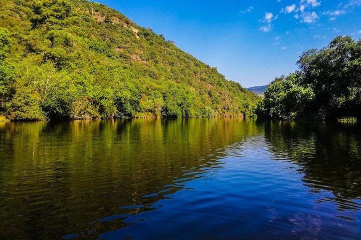 Private Full-Day Douro Valley Tour, Two Small Wineries, Old Ports and Family Lunch (1/2)