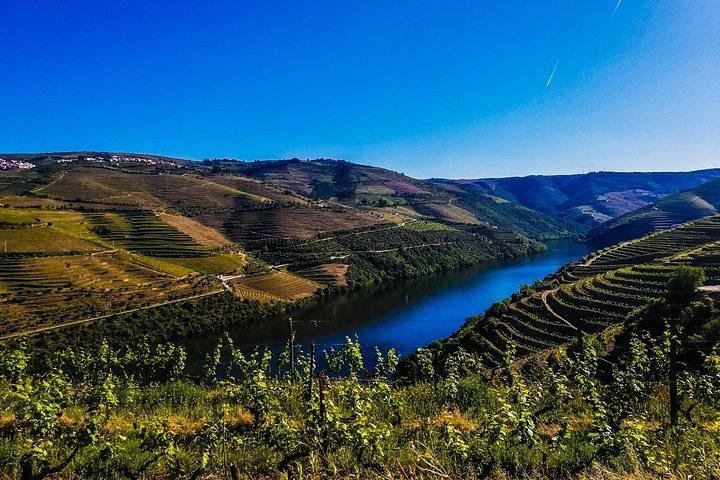 Private Full-Day Douro Valley Tour, Two Small Wineries, Old Ports and Family Lunch (2/2)