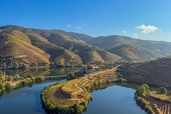 Douro Day with Two Local Brothers: Manor House Lunch, Olive Oil Mill and Port Boat Cruise