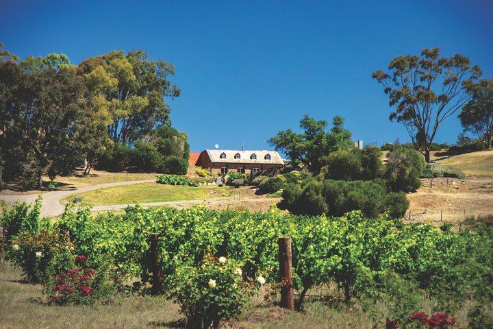 Barossa Valley Voyager Small Group Tour, Maximum 8 Guests, from Adelaide (6/9)