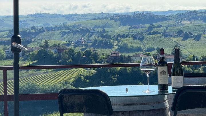Langhe and Monferrato Wine Tasting and Cellar Visit at Bussi Piero, Calosso (1/12)