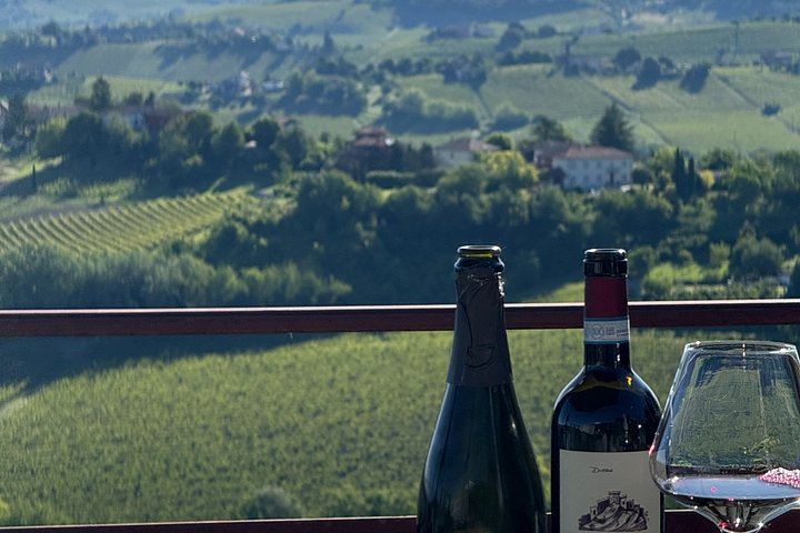 Langhe and Monferrato Wine Tasting and Cellar Visit at Bussi Piero, Calosso (5/12)