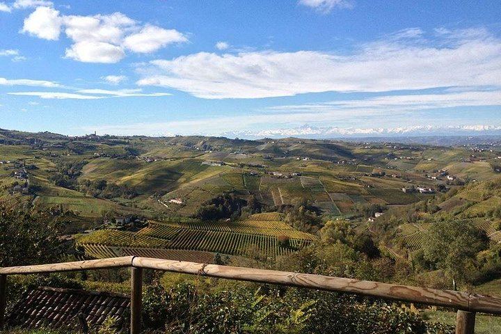Langhe and Monferrato Wine Tasting and Cellar Visit at Bussi Piero, Calosso (10/12)