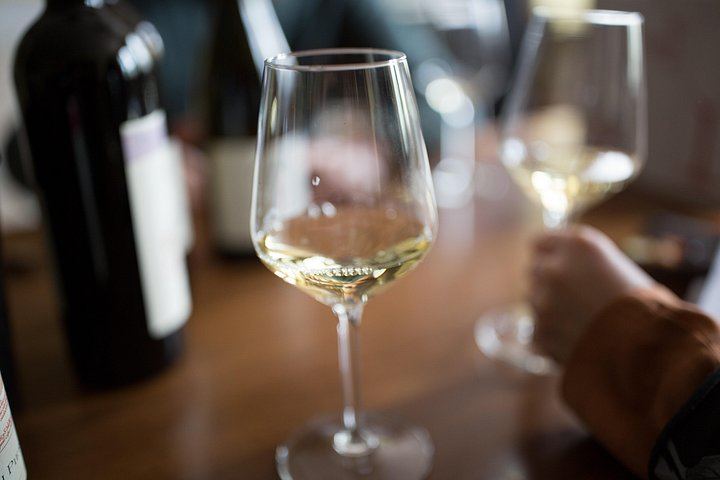 Langhe and Monferrato Wine Tasting and Cellar Visit at Bussi Piero, Calosso (12/12)