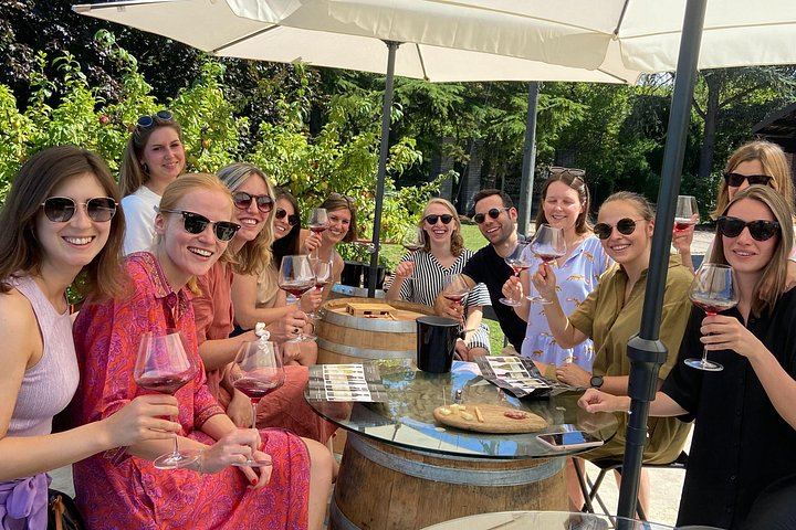 Langhe and Monferrato Wine Tasting and Cellar Visit at Bussi Piero, Calosso (2/12)