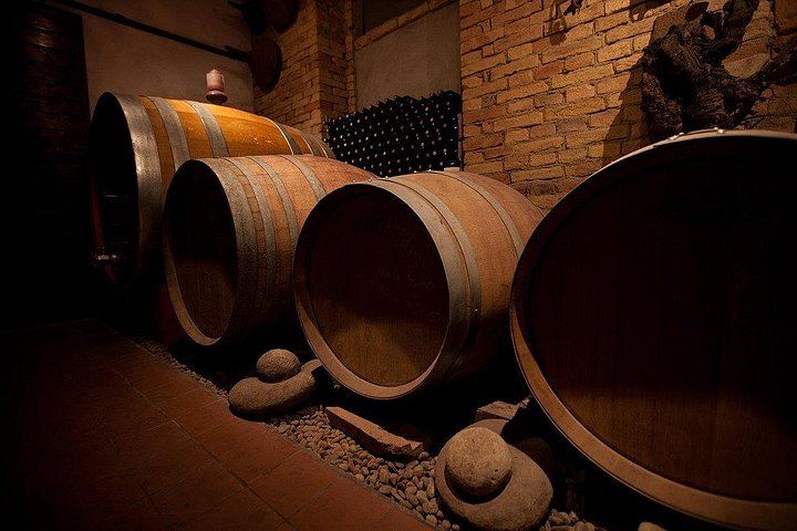 Langhe and Monferrato Wine Tasting and Cellar Visit at Bussi Piero, Calosso (9/12)