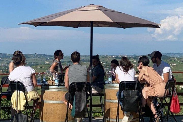 Langhe and Monferrato Wine Tasting and Cellar Visit at Bussi Piero, Calosso (7/12)