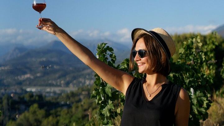 Nice Vineyard Visit and Winery Tour with Sommelier, 3 Options from Group to Private (3/12)