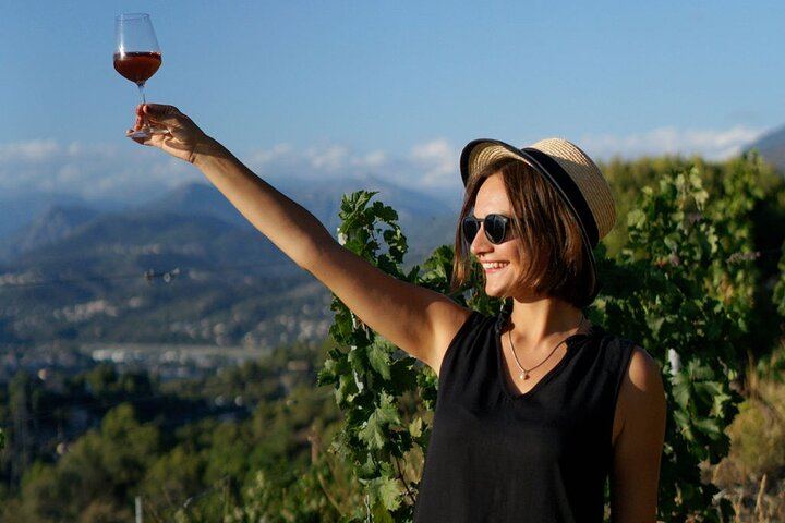 Nice Vineyard Visit and Winery Tour with Sommelier, 3 Options from Group to Private (3/12)