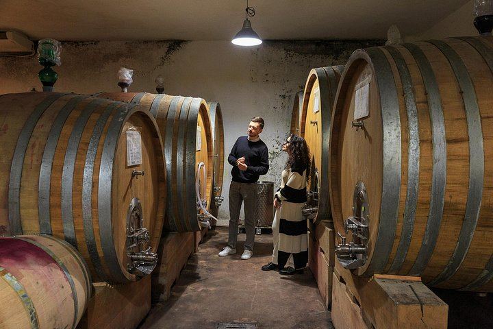 Private Sommelier-Led Langhe Hills Day: Barolo and Barbaresco Wineries, Osteria Lunch (12/12)