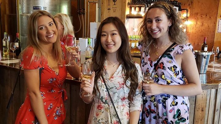 Niagara-on-the-Lake Afternoon Boutique Winery Tour with Cheese Pairing, Groups of 4-10 (4/11)