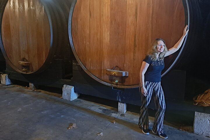 Azeitão Wine Tour with Bacalhôa and Fonseca Tastings and a Cristo Rei Viewpoint Stop (9/12)