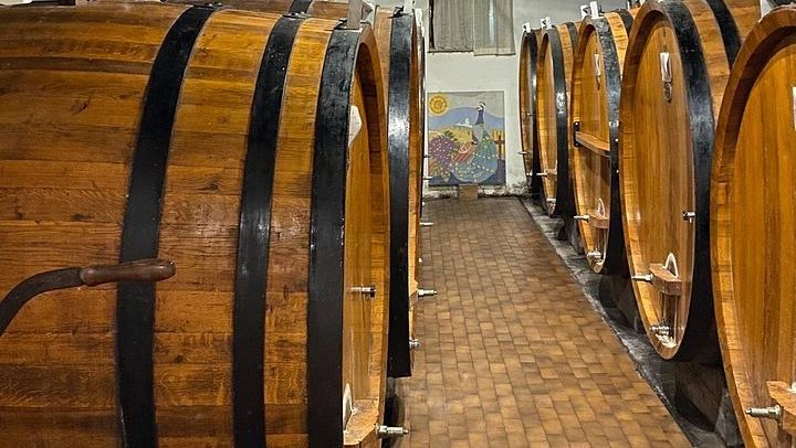 Private Sommelier-Led Langhe Hills Day: Barolo and Barbaresco Wineries, Osteria Lunch (2/12)
