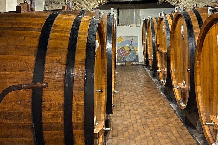Private Sommelier-Led Langhe Hills Day: Barolo and Barbaresco Wineries, Osteria Lunch (2/12)