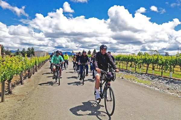 Santa Rosa Bike Tour: 12 Miles Through Russian River Valley Vineyards