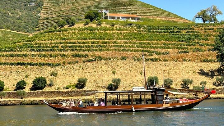Douro Valley Boutique Wineries Day Trip from Porto: Family Producers, 8 Per Vehicle (1/12)