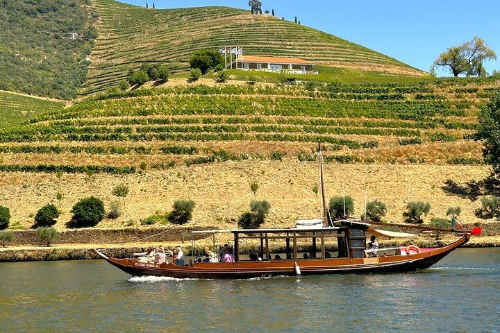 Douro Valley Boutique Wineries Day Trip from Porto: Family Producers, 8 Per Vehicle (1/12)