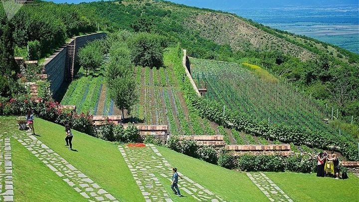 Private Kakheti Tour: Khinkali Lunch, Telavi Qvevri Tasting and Gombori Pass (4/10)