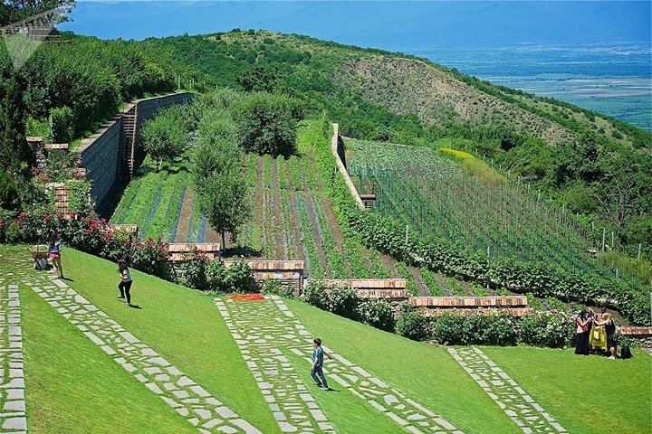 Private Kakheti Tour: Khinkali Lunch, Telavi Qvevri Tasting and Gombori Pass (4/10)