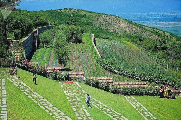 Kakheti Wine Tour from Tbilisi: Sighnaghi, Bodbe, Shoti Bread and 7 Tastings (3/12)