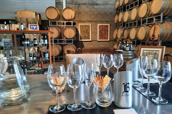 Private Uco Valley Wine Day with Driver: Bousquet, Salentein and Andean Lunch