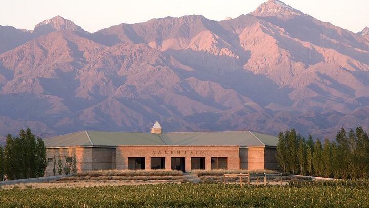 Private Driver to Salentein Winery and Lunch at La Azul, Uco Valley, Mendoza (1/7)