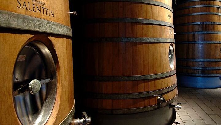 Private Driver to Salentein Winery and Lunch at La Azul, Uco Valley, Mendoza (4/7)