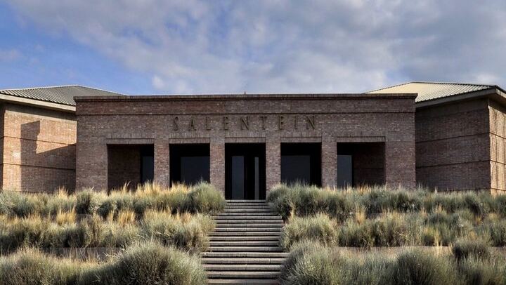 Private Driver to Salentein Winery and Lunch at La Azul, Uco Valley, Mendoza (3/7)