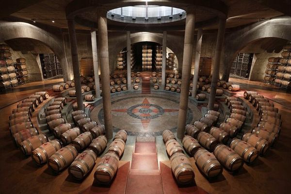 Private Driver to Salentein Winery and Lunch at La Azul, Uco Valley, Mendoza