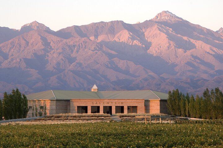 Private Driver to Salentein Winery and Lunch at La Azul, Uco Valley, Mendoza (1/7)