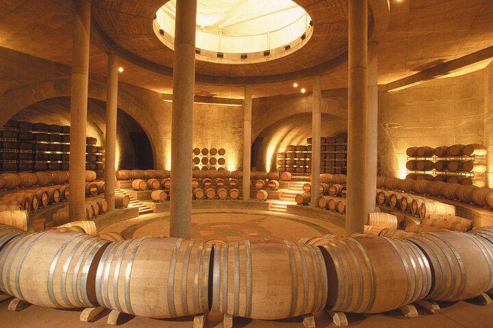 Private Driver to Salentein Winery and Lunch at La Azul, Uco Valley, Mendoza (6/7)