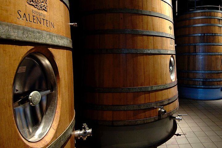 Private Driver to Salentein Winery and Lunch at La Azul, Uco Valley, Mendoza (4/7)