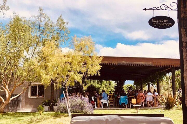 Private Driver to Salentein Winery and Lunch at La Azul, Uco Valley, Mendoza (7/7)