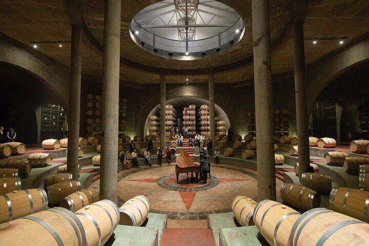 Private Driver to Salentein Winery and Lunch at La Azul, Uco Valley, Mendoza (5/7)