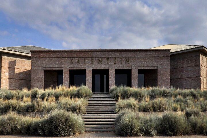 Private Driver to Salentein Winery and Lunch at La Azul, Uco Valley, Mendoza (3/7)