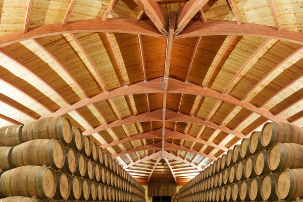 Bodegas Campillo Tour in Rioja Alavesa: Vineyards, Cellars and Three Wines