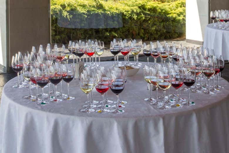 Bodegas Campillo Tour in Rioja Alavesa: Vineyards, Cellars and Three Wines (1/7)