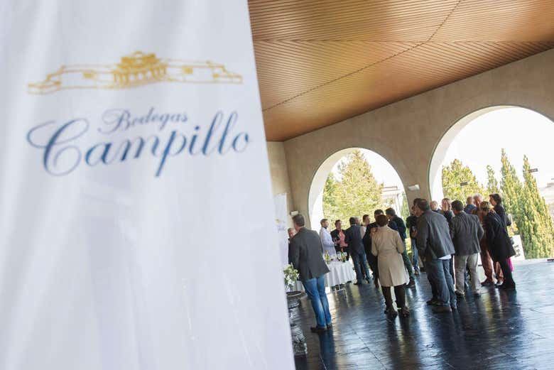 Bodegas Campillo Tour in Rioja Alavesa: Vineyards, Cellars and Three Wines (3/7)