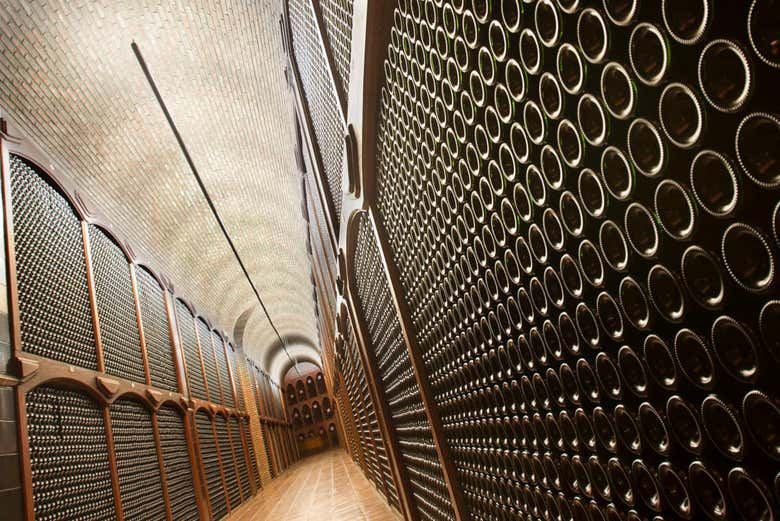 Bodegas Campillo Tour in Rioja Alavesa: Vineyards, Cellars and Three Wines (4/7)
