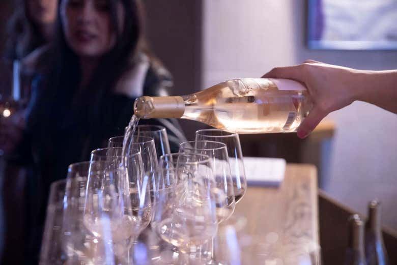 Bodegas Campillo Tour in Rioja Alavesa: Vineyards, Cellars and Three Wines (5/7)