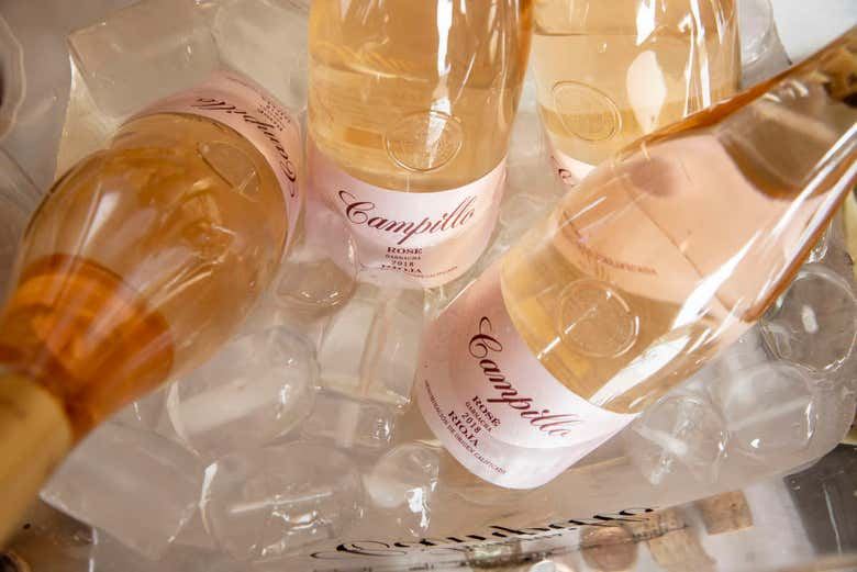 Bodegas Campillo Tour in Rioja Alavesa: Vineyards, Cellars and Three Wines (7/7)