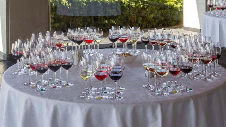Bodegas Campillo Tour in Rioja Alavesa: Vineyards, Cellars and Three Wines (1/7)