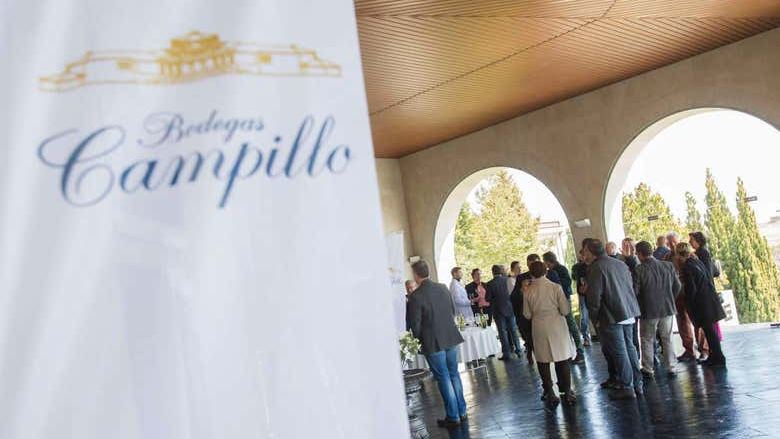 Bodegas Campillo Tour in Rioja Alavesa: Vineyards, Cellars and Three Wines (3/7)
