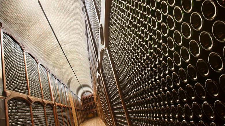 Bodegas Campillo Tour in Rioja Alavesa: Vineyards, Cellars and Three Wines (4/7)